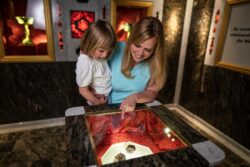 Eine Frau hält ein kleines Mädchen in der Hand und zeigt im Granatzimmer auf einen Granatstein.